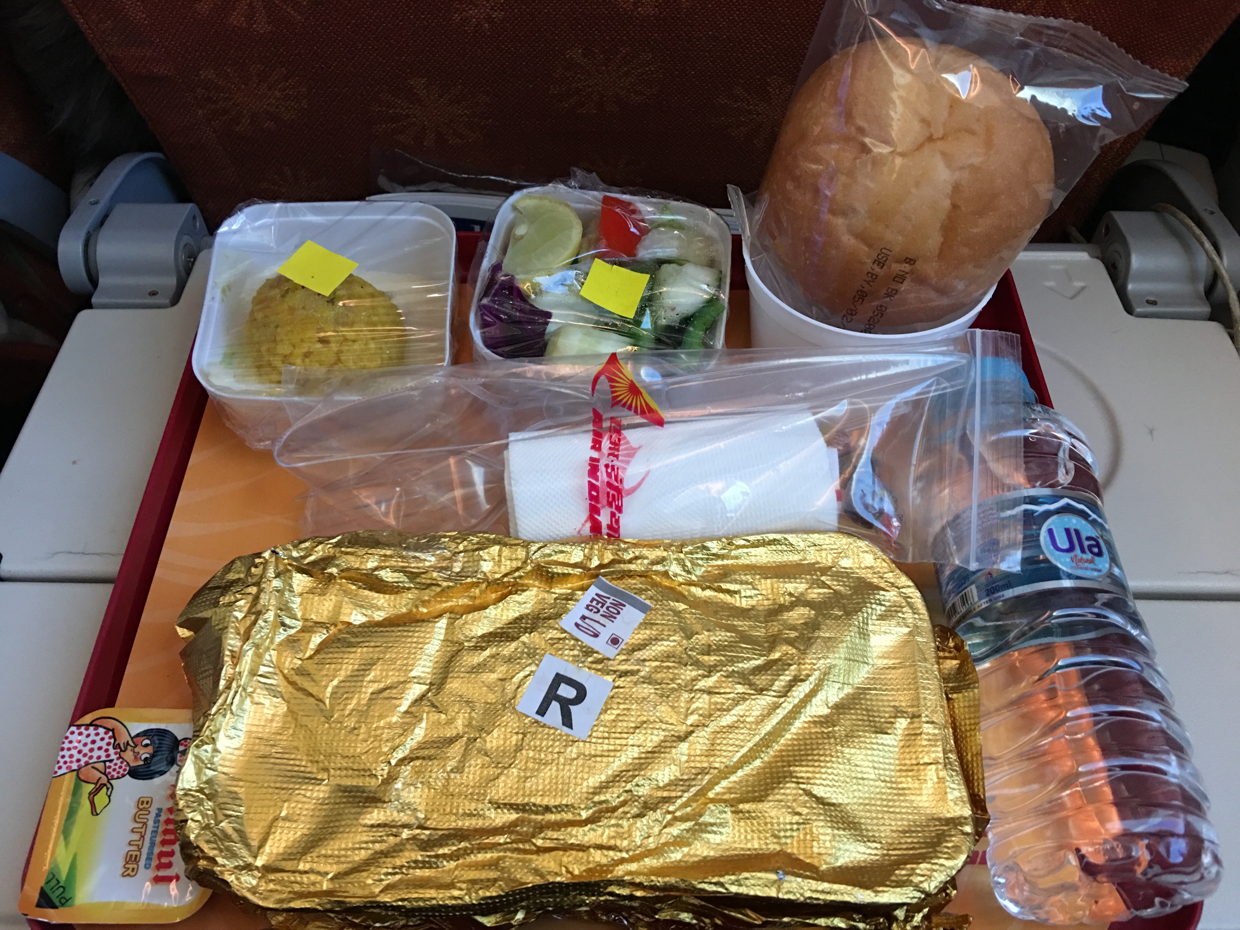 Main Course Meal in Air India AI-111 Flight