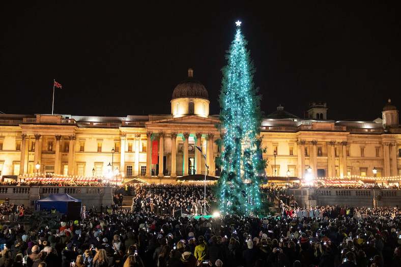 christmas tree in Trafalgar square 2019