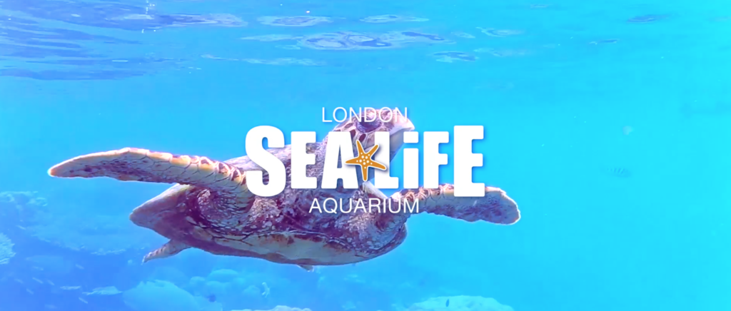 london sea life aquarium