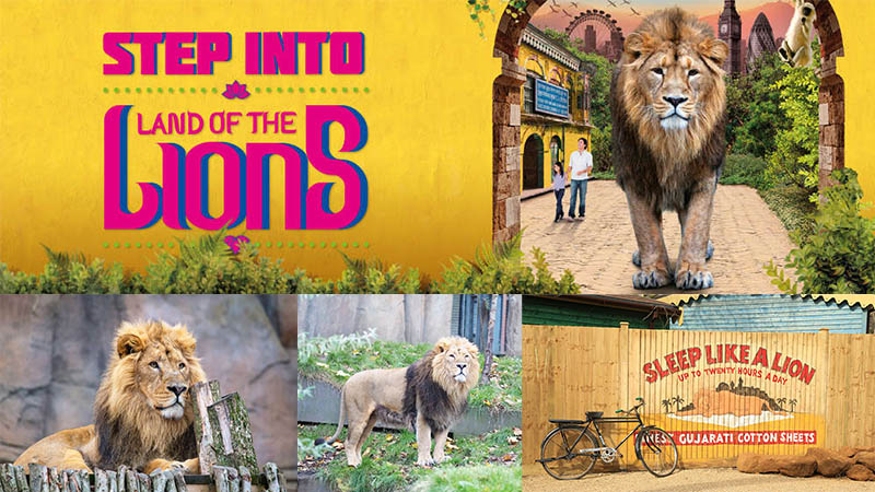 step into the land of the lions at London Zoo