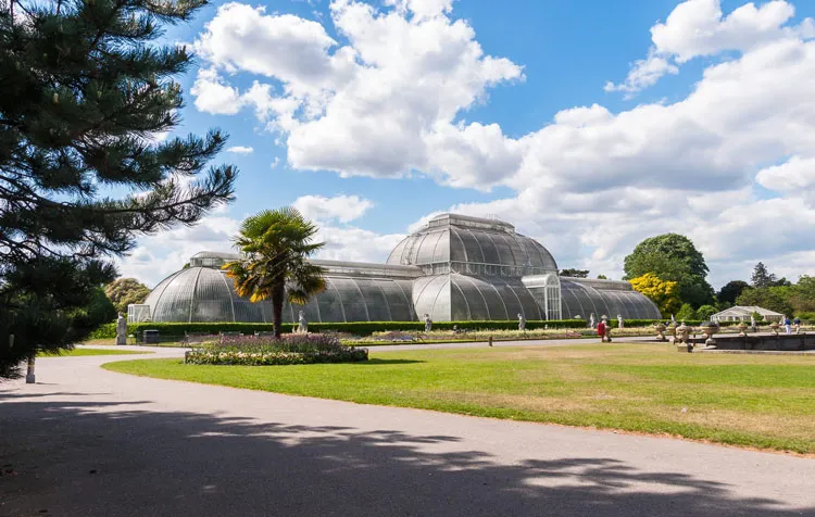 Palm house in Kew Gardens London
